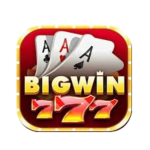 BIGWIN777